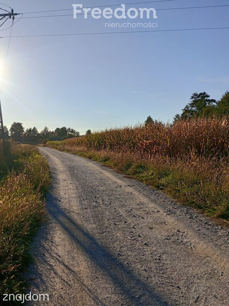 Działka 1,24 ha pod zabudowę mieszkaniową jednorodzinną w Baranowie - zdjęcie 6