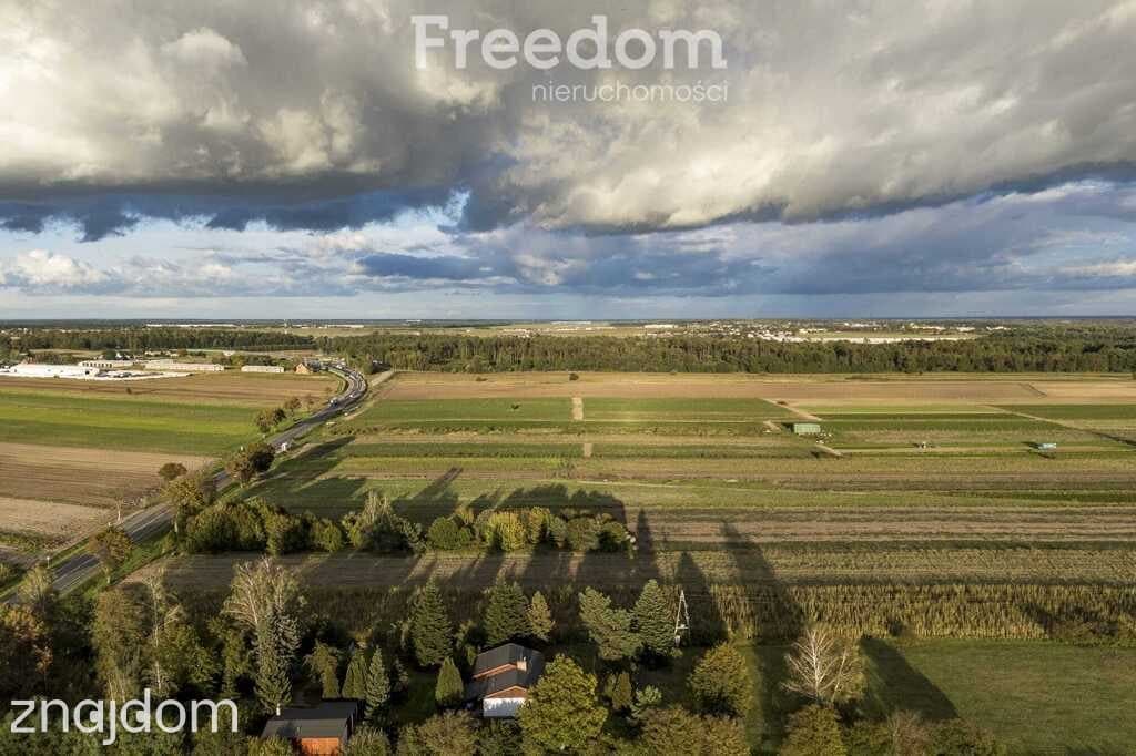 Inwestycyjna działka 1,5 ha Wólka Smoszewska - zdjęcie 5