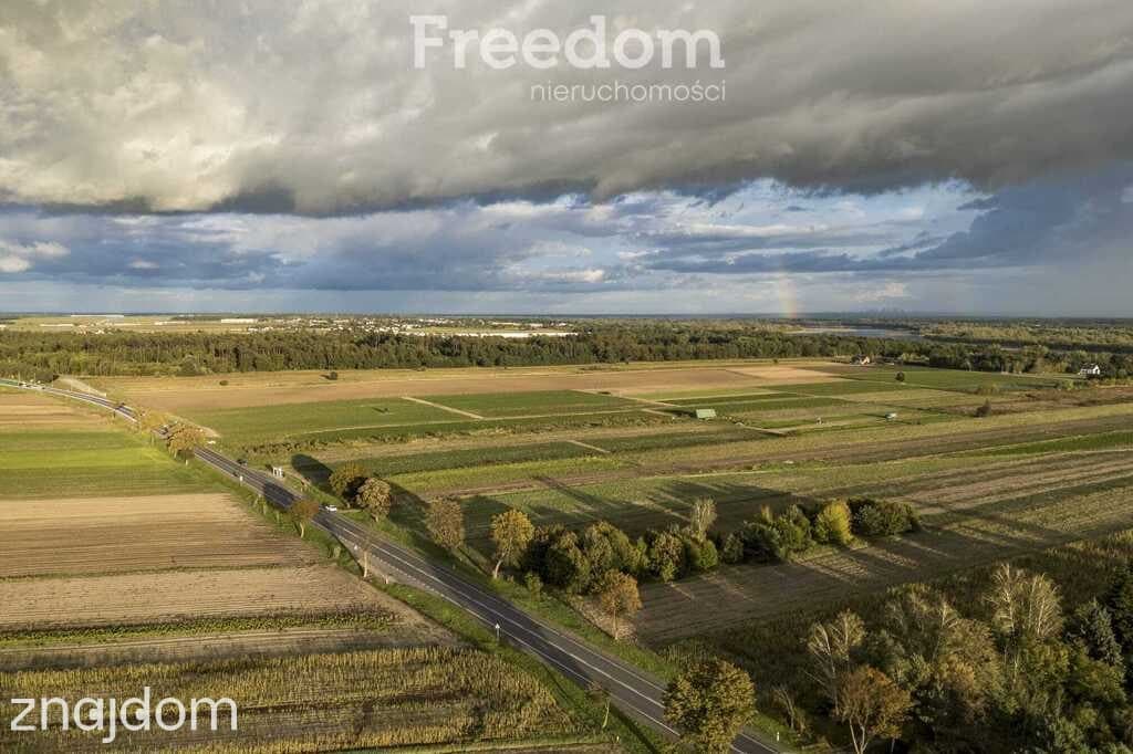 Inwestycyjna działka 1,5 ha Wólka Smoszewska - zdjęcie 2
