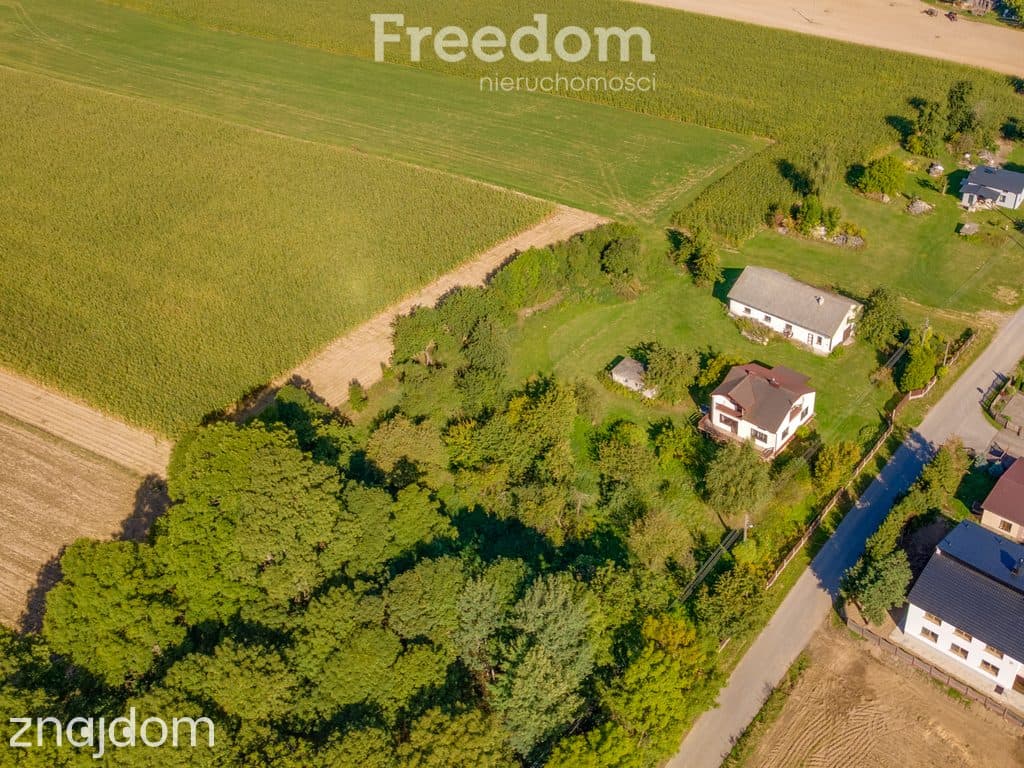 Dom z dużą działką i zabudowaniami gospodarczymi - zdjęcie 11