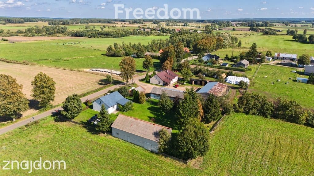 Siedlisko z duszą i ogromnym potencjałem – 5,42 HA własnego rezerwatu - zdjęcie 6