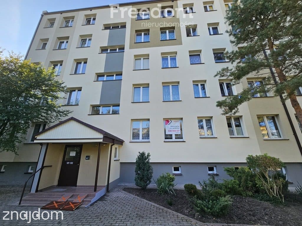 Rozkładowe 3 pokojowe na parterze - zdjęcie 5