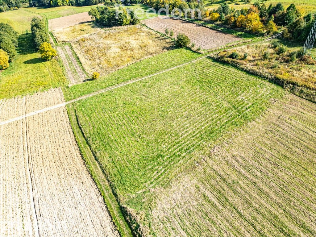 Widokowa działka 43,42 ar ul. Wichrowa Rzeszów - zdjęcie 13