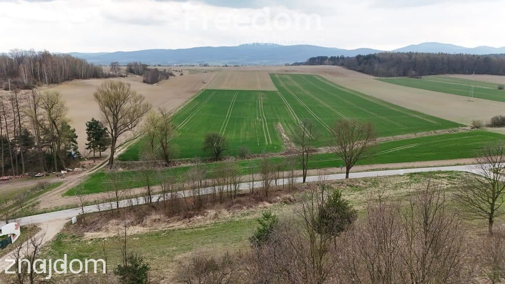 Działka na sprzedaż z WZ, 31ar, jezioro - zdjęcie 3