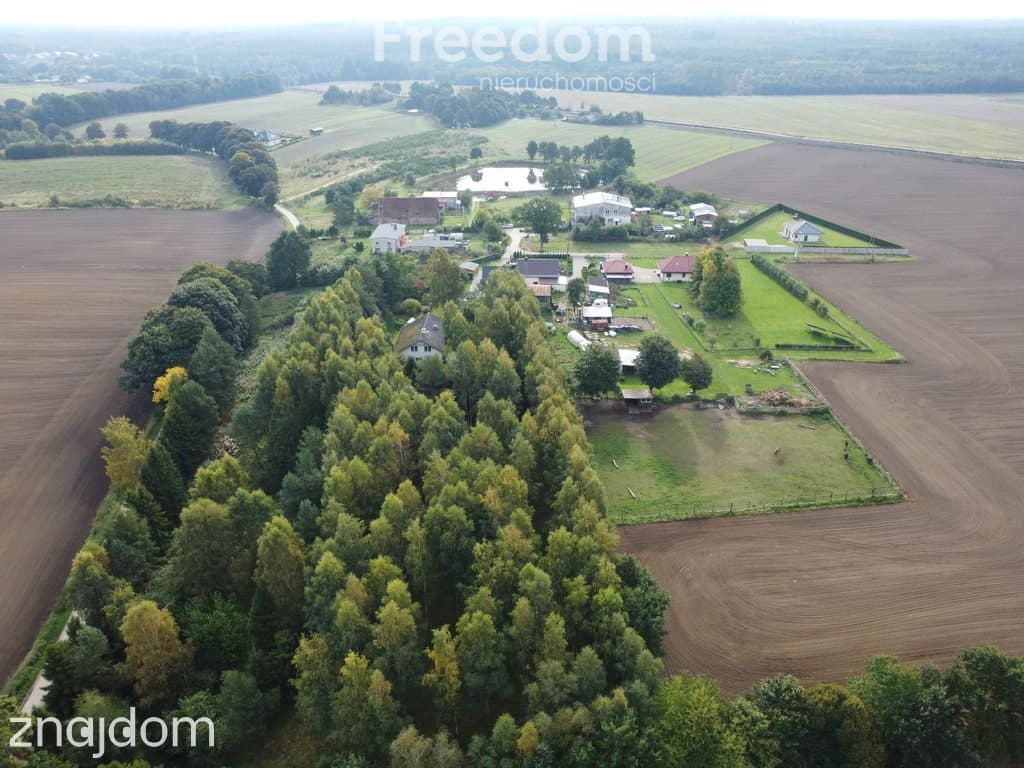 Dębniczka Dom otoczony lasem na działce 9190 m² - zdjęcie 2
