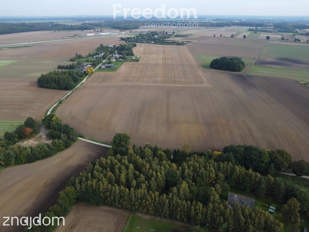 Dębniczka Dom otoczony lasem na działce 9190 m² - zdjęcie 3