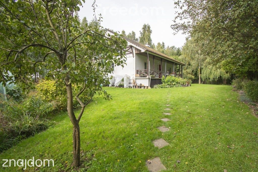Dębniczka Dom otoczony lasem na działce 9190 m² - zdjęcie 9