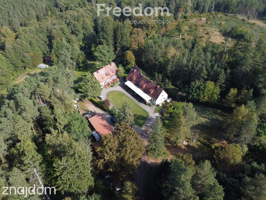 Unikalna posiadłość nad Brdą w sercu lasu, 2,5ha - zdjęcie 2