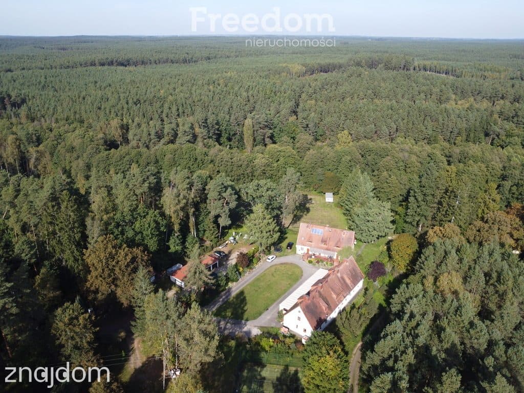 Unikalna posiadłość nad Brdą w sercu lasu, 2,5ha
