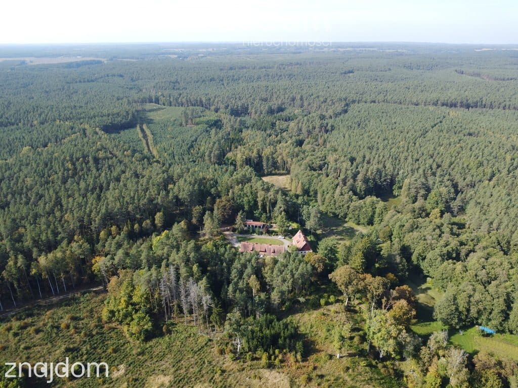 Unikalna posiadłość nad Brdą w sercu lasu, 2,5ha - zdjęcie 3