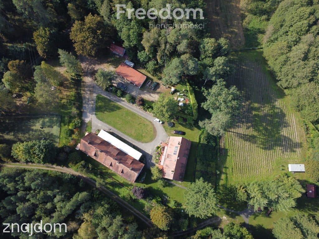 Unikalna posiadłość nad Brdą w sercu lasu, 2,5ha - zdjęcie 4