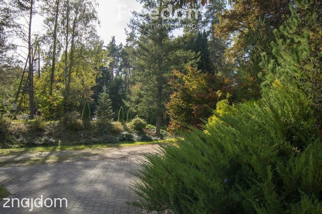 Unikalna posiadłość nad Brdą w sercu lasu, 2,5ha - zdjęcie 11