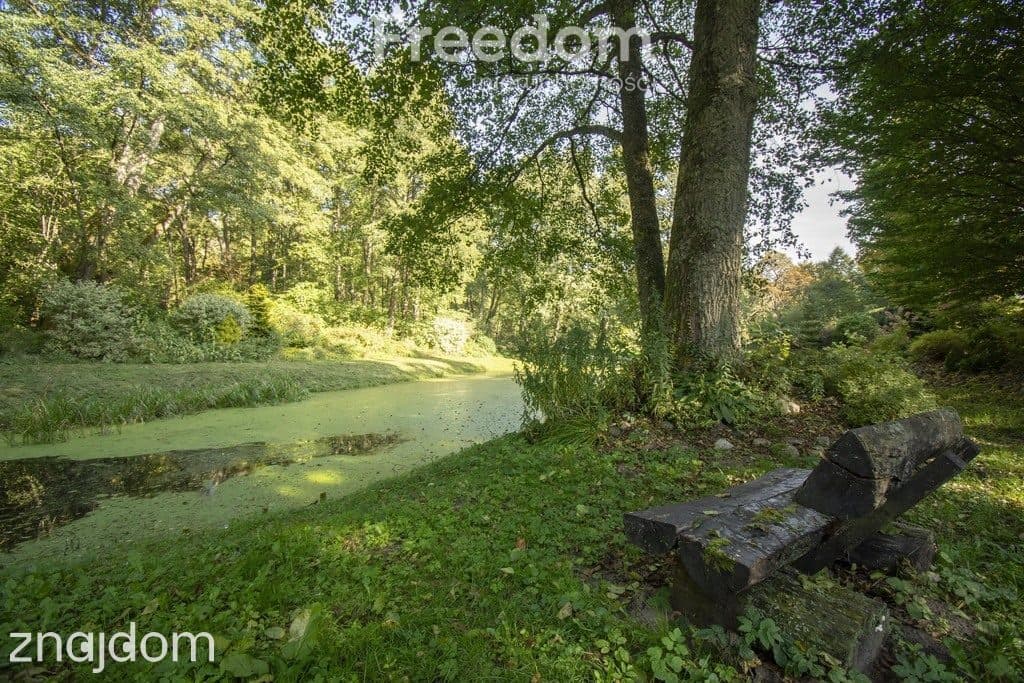 Unikalna posiadłość nad Brdą w sercu lasu, 2,5ha - zdjęcie 17