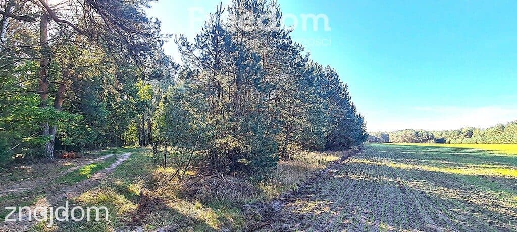 Działki rolne i leśne (bory) na sprzedaż - Rudniki - zdjęcie 3