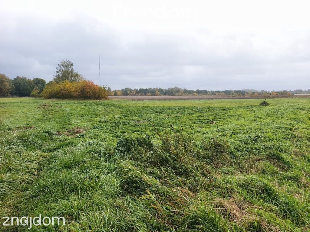 Walendów, działka 3676 m², mpzp, szybki dojazd do Warszawy