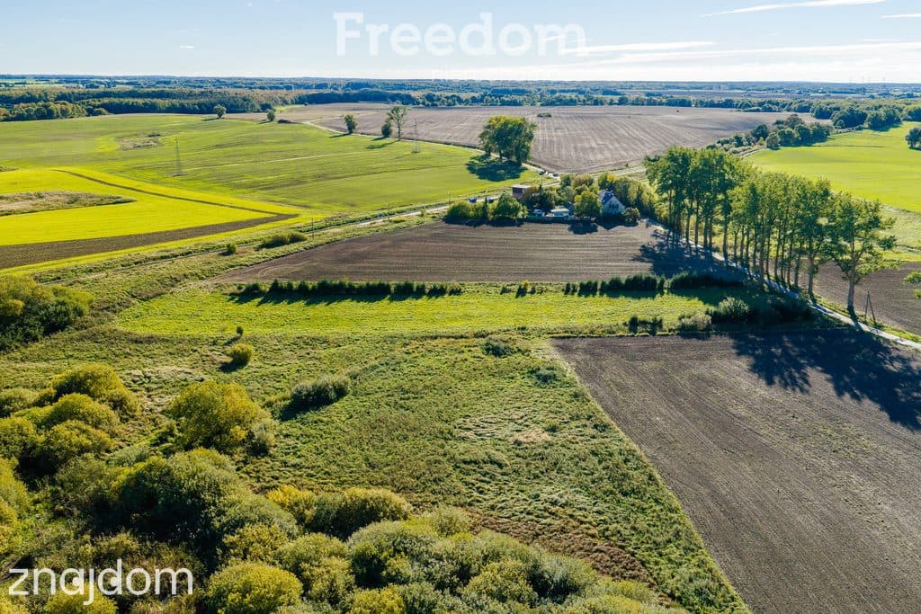 DZIAŁKA Z POZWOLENIEM NA BUDOWĘ BLISKO BAŁTYKU | 7 348 m² | BIECZYNO - zdjęcie 12