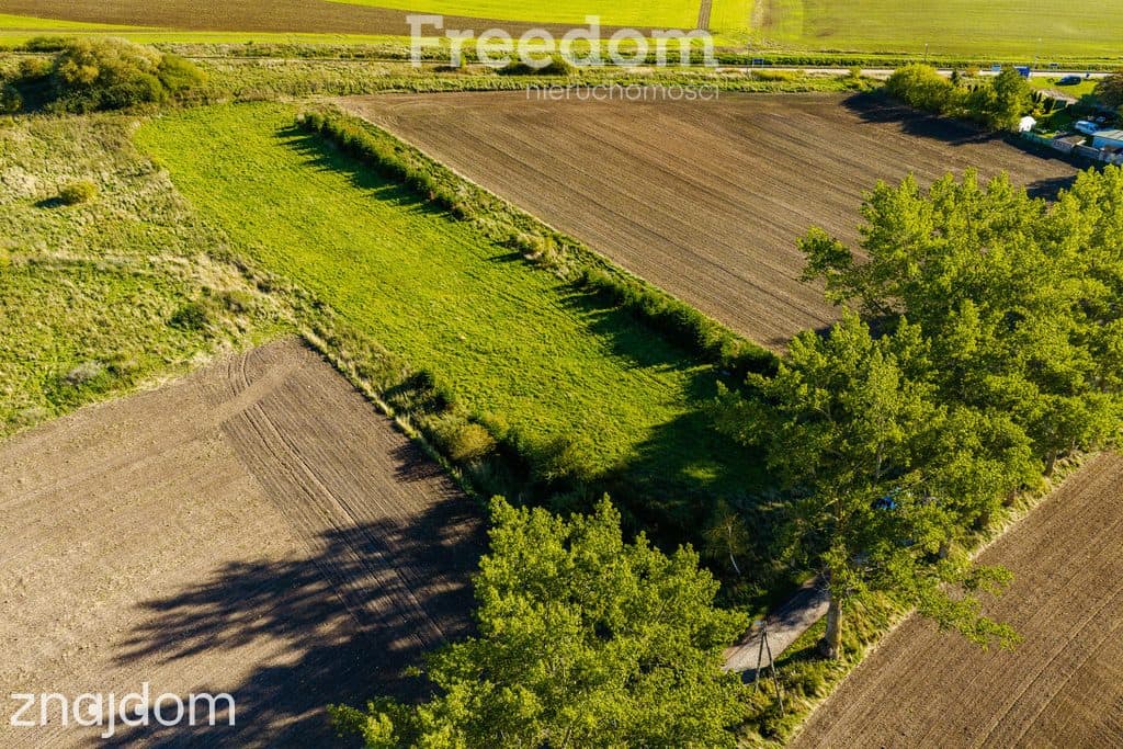 DZIAŁKA Z POZWOLENIEM NA BUDOWĘ BLISKO BAŁTYKU | 7 348 m² | BIECZYNO - zdjęcie 13