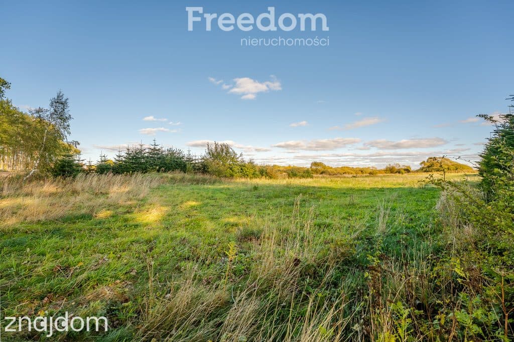 DZIAŁKA Z POZWOLENIEM NA BUDOWĘ BLISKO BAŁTYKU | 7 348 m² | BIECZYNO - zdjęcie 14