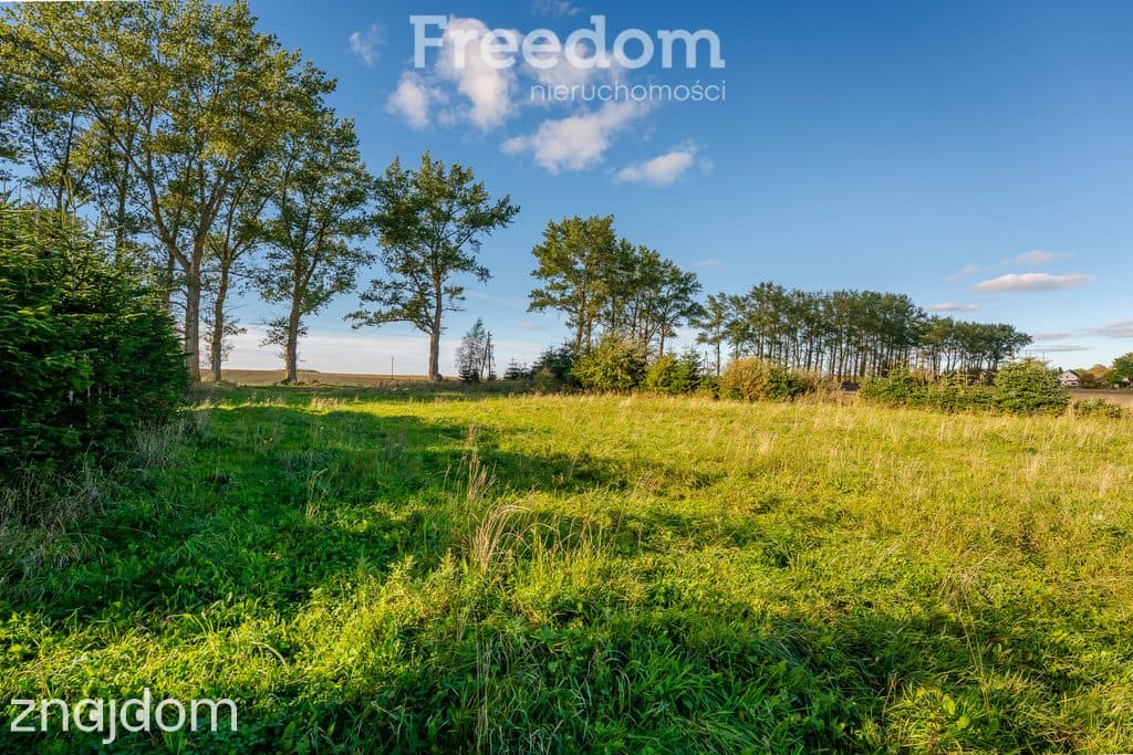 DZIAŁKA Z POZWOLENIEM NA BUDOWĘ BLISKO BAŁTYKU | 7 348 m² | BIECZYNO - zdjęcie 15