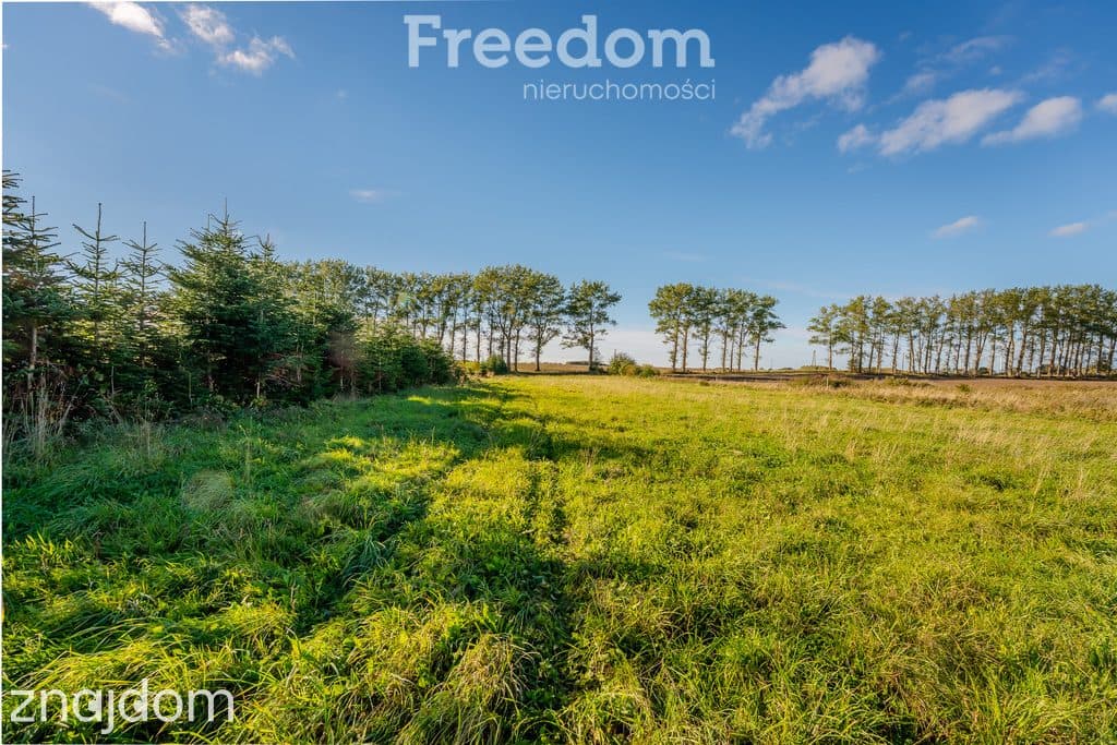 DZIAŁKA Z POZWOLENIEM NA BUDOWĘ BLISKO BAŁTYKU | 7 348 m² | BIECZYNO - zdjęcie 16