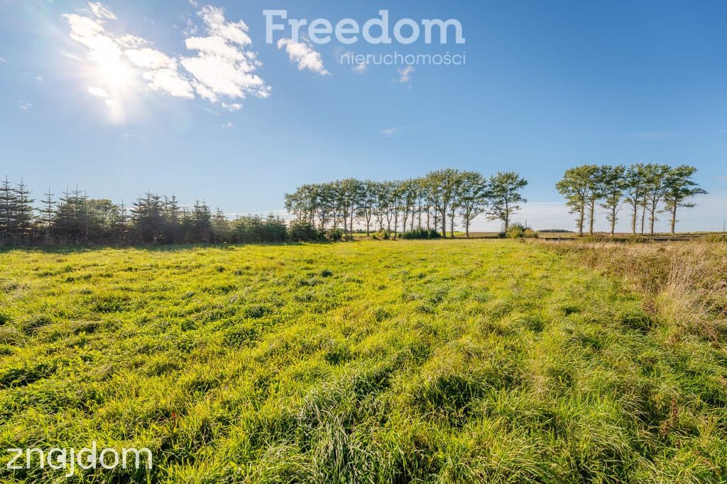 DZIAŁKA Z POZWOLENIEM NA BUDOWĘ BLISKO BAŁTYKU | 7 348 m² | BIECZYNO - zdjęcie 17