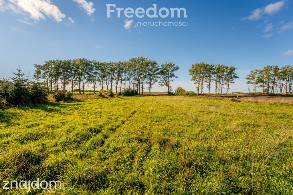DZIAŁKA Z POZWOLENIEM NA BUDOWĘ BLISKO BAŁTYKU | 7 348 m² | BIECZYNO - zdjęcie 19