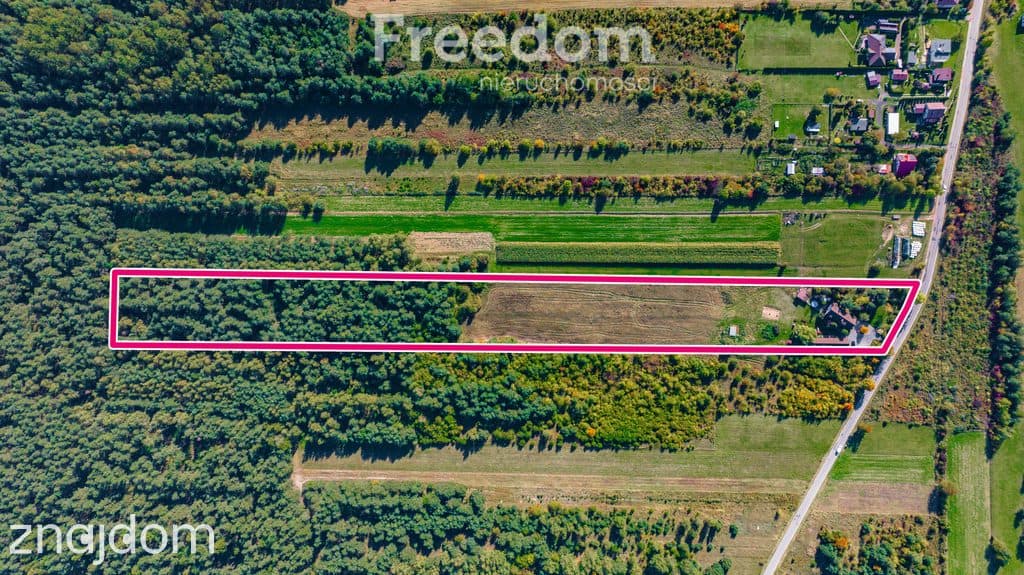 Obiekt agroturystyczny na Jurze Krakowsko-Częstochowskiej - zdjęcie 6
