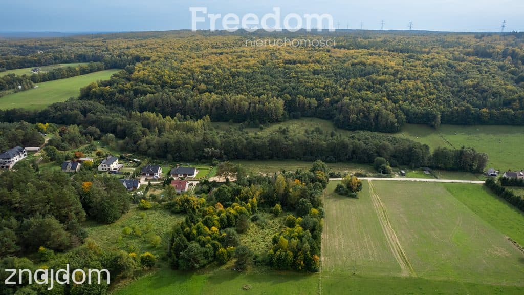 Pakiet działek budowlanych pod siedlisko lub inwestycję ! - zdjęcie 19