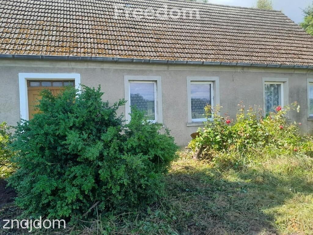 Wyjątkowe siedlisko z potencjałem – Pniewo, 3027 m² - zdjęcie 3