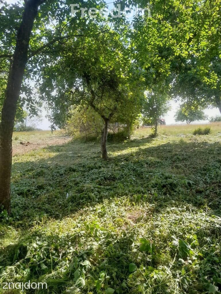 Wyjątkowe siedlisko z potencjałem – Pniewo, 3027 m² - zdjęcie 4