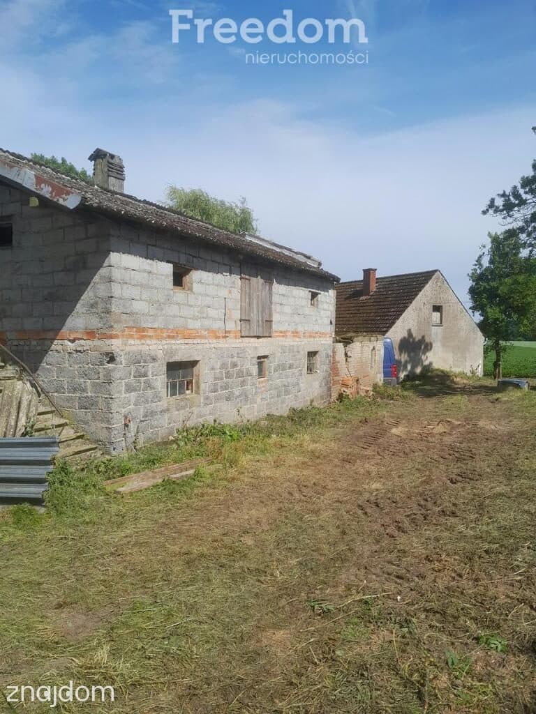 Wyjątkowe siedlisko z potencjałem – Pniewo, 3027 m² - zdjęcie 4