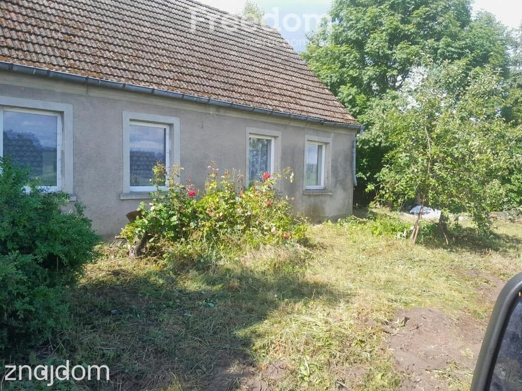 Wyjątkowe siedlisko z potencjałem – Pniewo, 3027 m² - zdjęcie 3