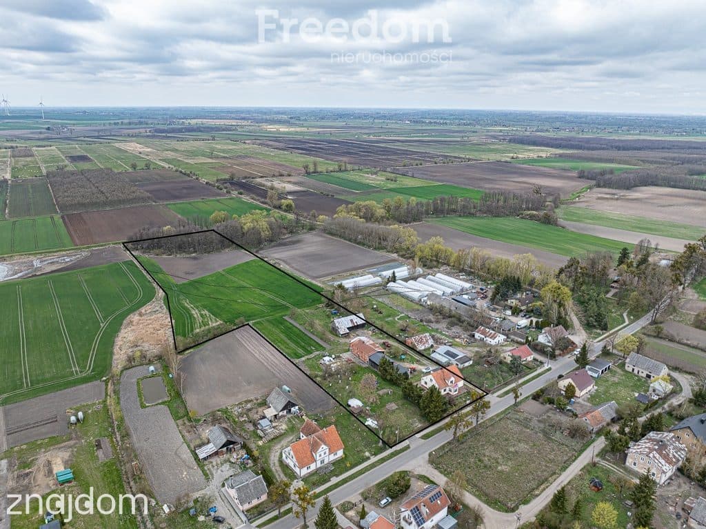 Siedlisko, duży dom, 3 działki 3,2 ha, Święty Gaj,