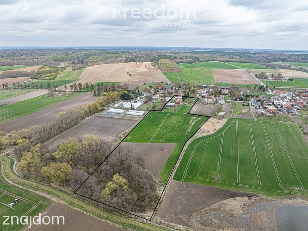 Siedlisko, duży dom, 3 działki 3,2 ha, Święty Gaj, - zdjęcie 14