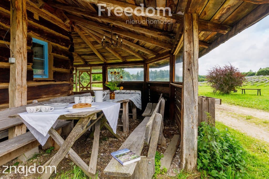 Siedlisko z duszą na Warmii-natura, przestrzeń, artystyczne inspiracje - zdjęcie 10