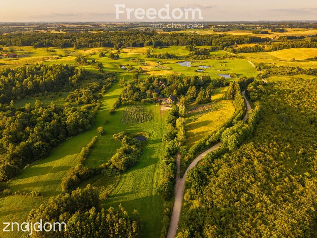 Siedlisko z duszą na Warmii-natura, przestrzeń, artystyczne inspiracje - zdjęcie 18