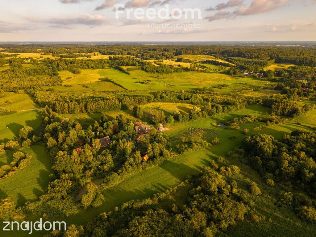 Siedlisko z duszą na Warmii-natura, przestrzeń, artystyczne inspiracje - zdjęcie 5