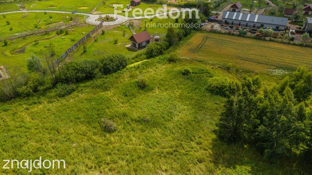 Działka w Jantarze o pow. 1550m2 - zdjęcie 5