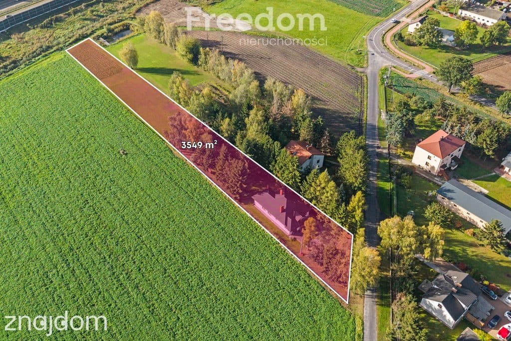 Parterowy dom 127,5 m² | Działka 3500 m² | 4 pokoje - zdjęcie 2