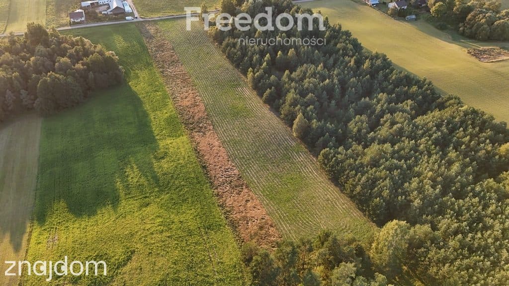 2 działki budowlane | wz | widok na las - zdjęcie 8