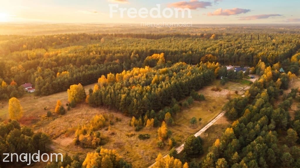 Działka 91 arów (ok 20 arów pod zabudowę jednorodzinną) z lasem, Janów