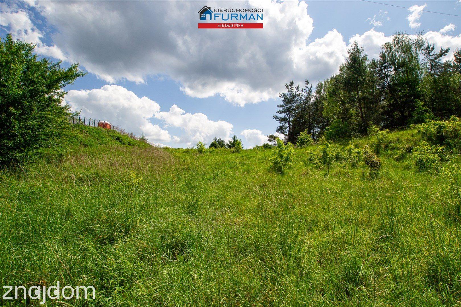 działka Skórka, gmina Krajenka pow. 1741 m2, rzeka - zdjęcie 10