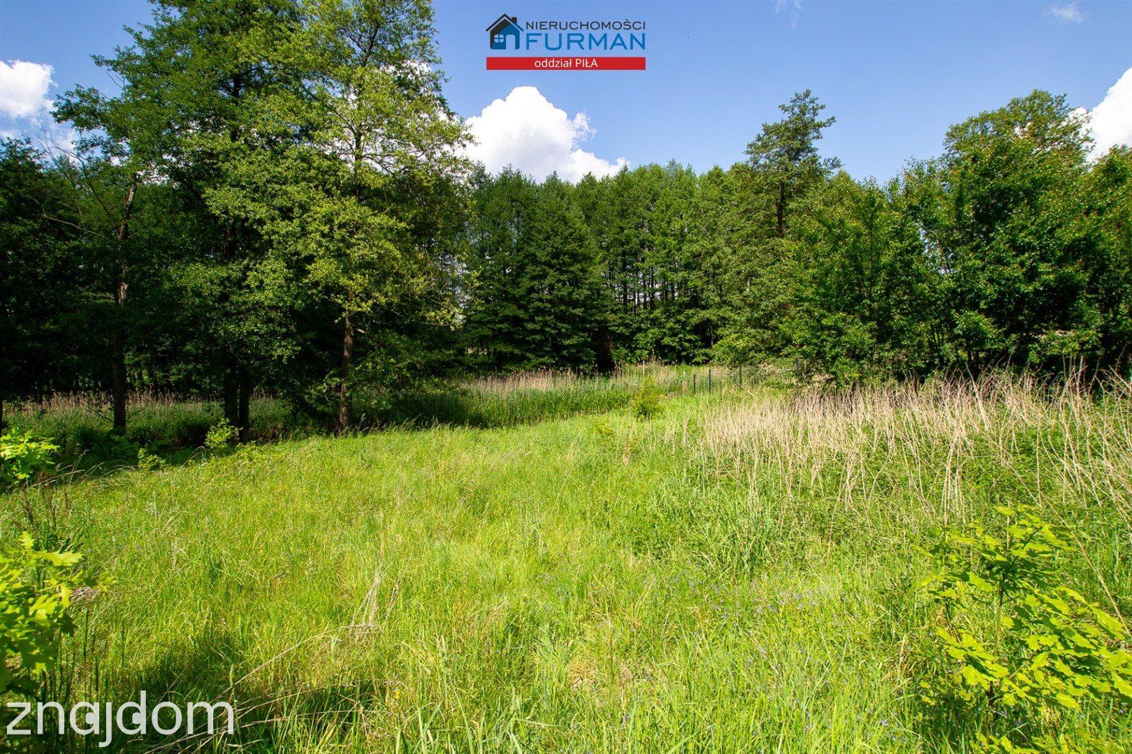 działka Skórka, gmina Krajenka pow. 1741 m2, rzeka - zdjęcie 7