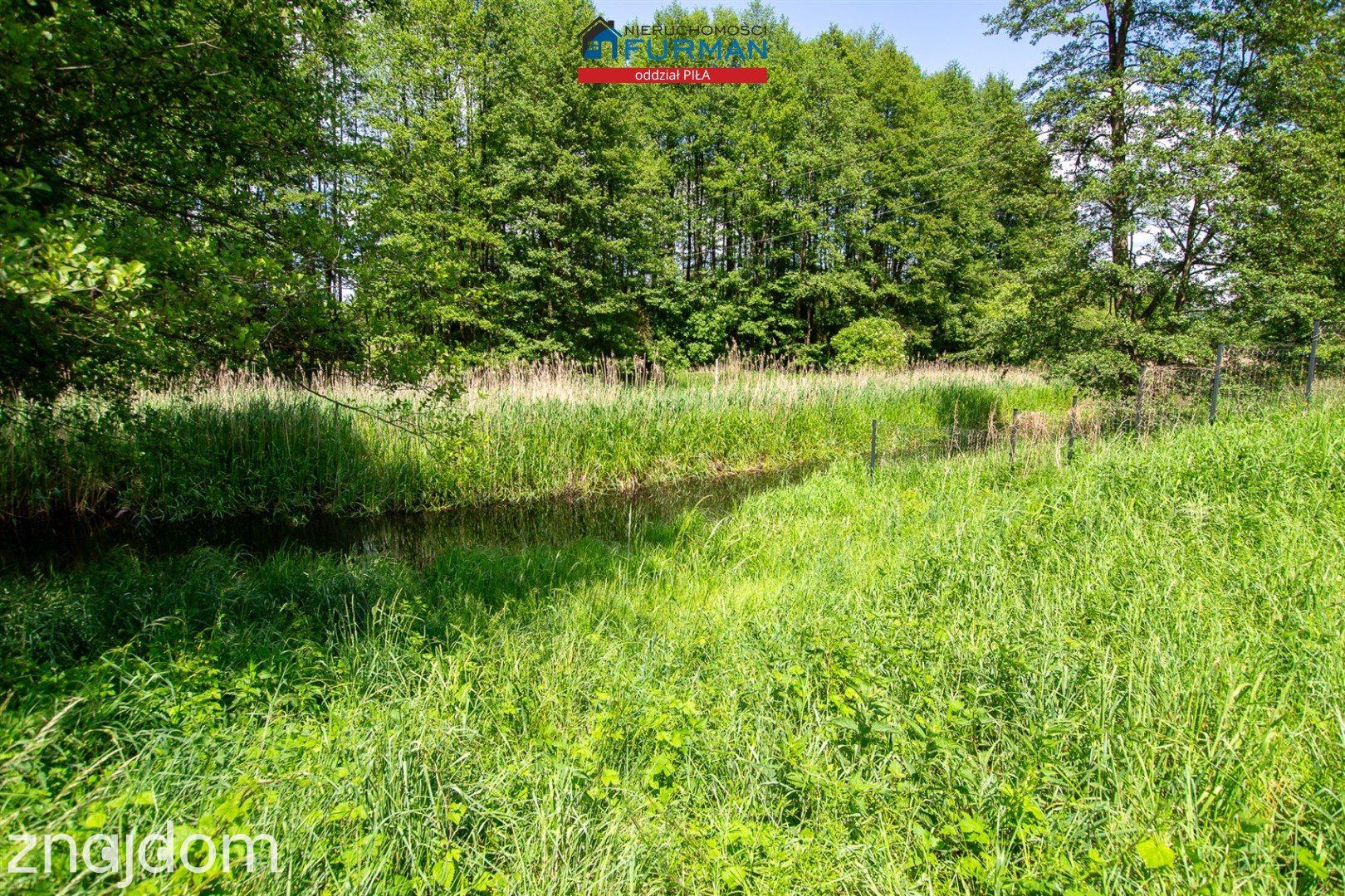działka Skórka, gmina Krajenka pow. 1741 m2, rzeka - zdjęcie 8