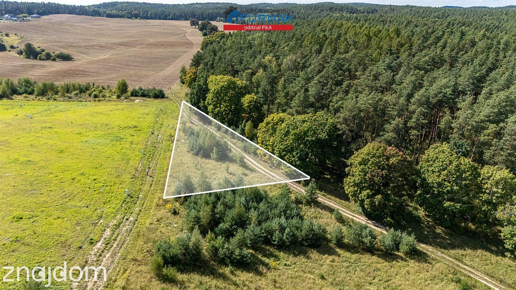 Działka budowlana przy ścianie lasu- OBNIŻKA CENY! - zdjęcie 7