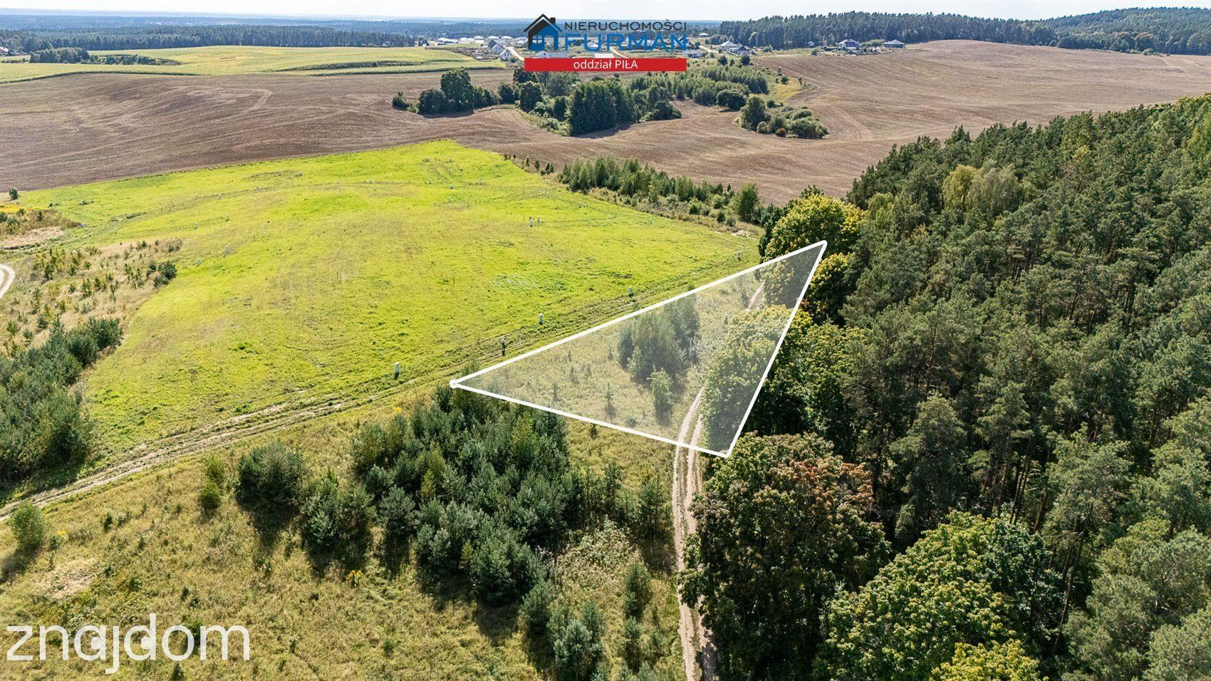Działka budowlana przy ścianie lasu- OBNIŻKA CENY! - zdjęcie 9