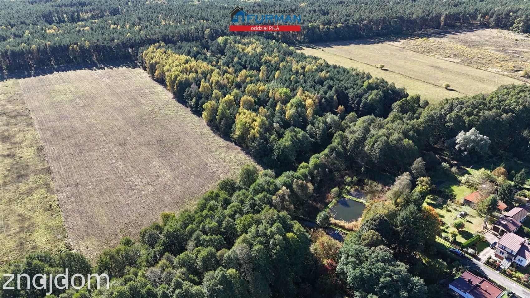Działka rolna w Trzciance - zdjęcie 5