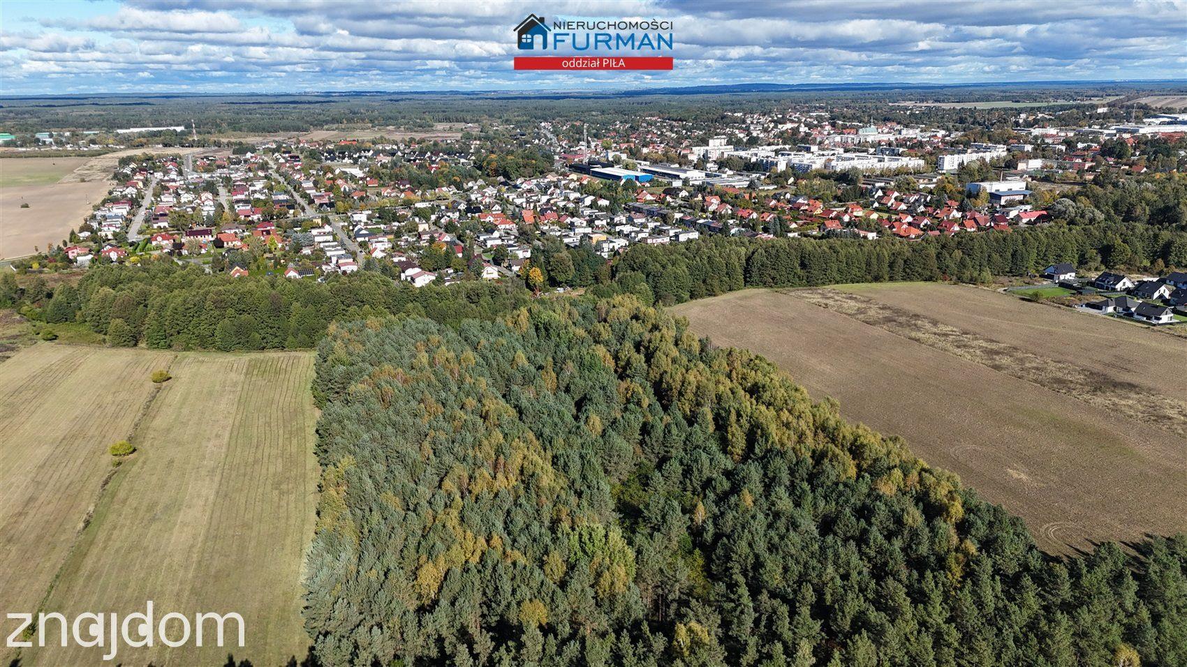 Działka rolna w Trzciance - zdjęcie 6