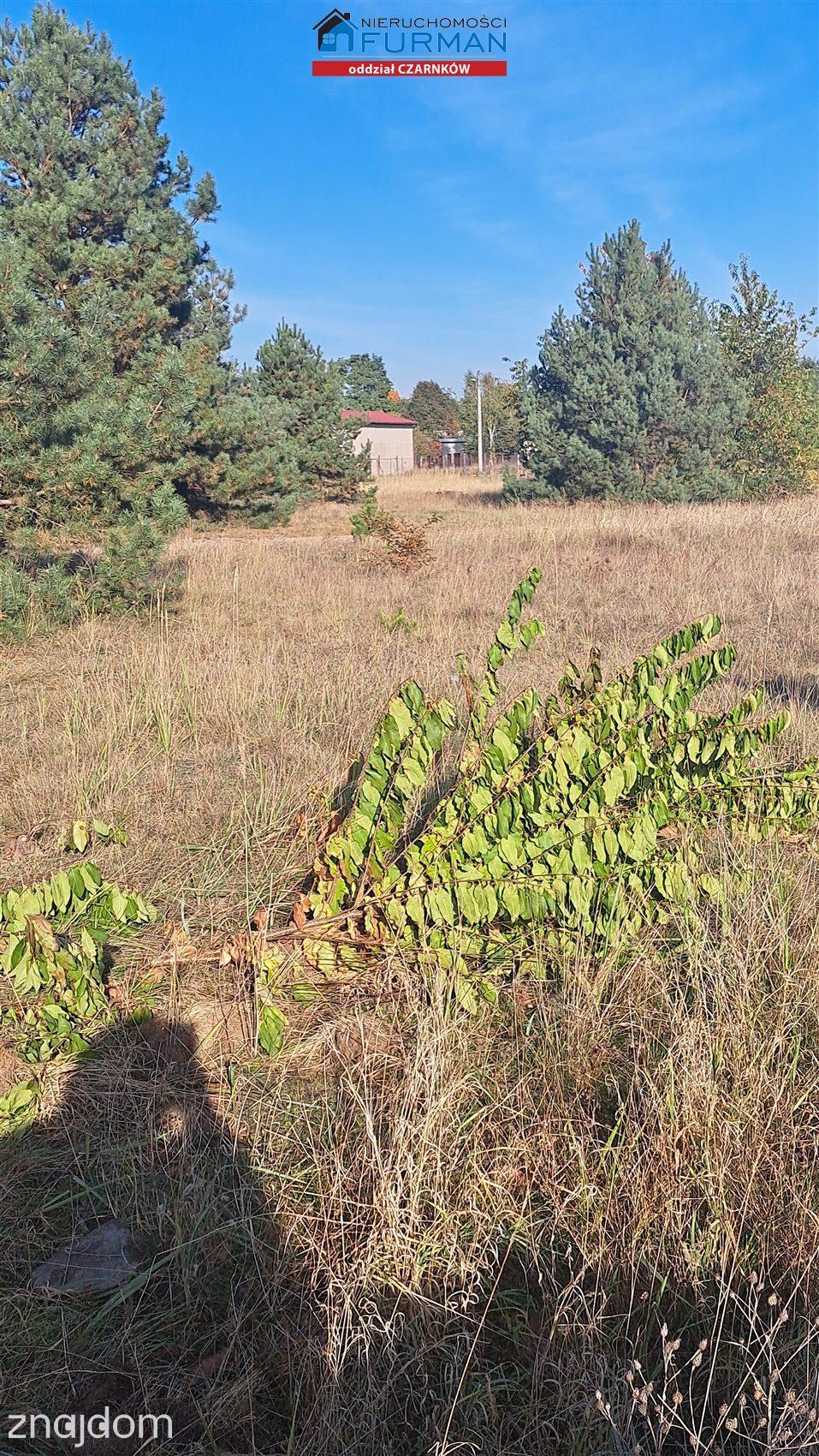 działka na sprzedaż w Wieleniu, wielkopolska - zdjęcie 7