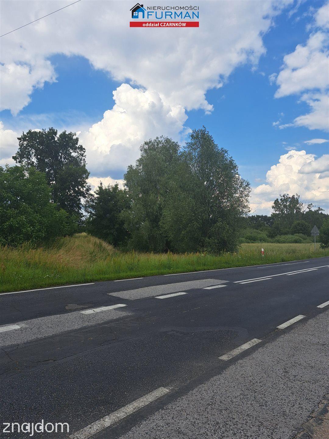 działka na sprzedaż w Sarbii (gmina Czarnków) - zdjęcie 7
